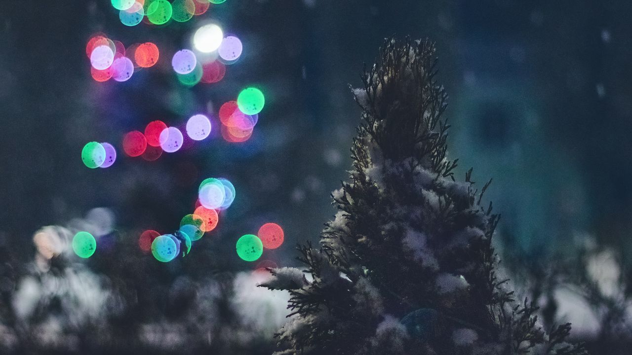 Обои елка, снег, огни, блики, ночь