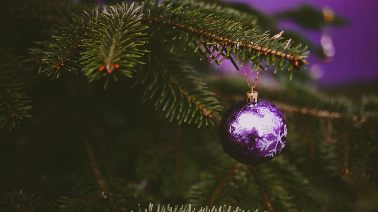 Обои елка, украшение, шар, фиолетовый, праздник