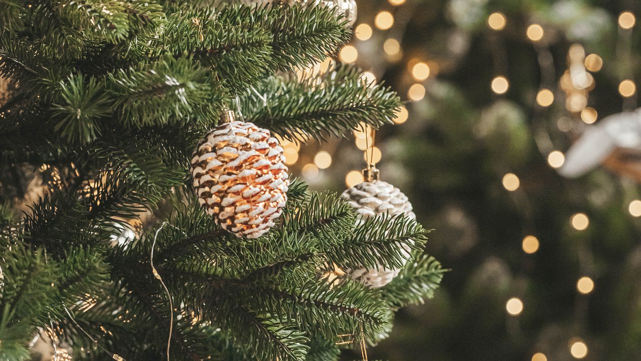 Обои елка, украшения, гирлянды, рождество, новый год, праздники