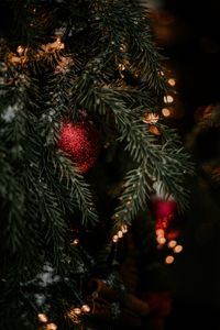 Превью обои елка, украшения, гирлянды, новый год, рождество, праздники