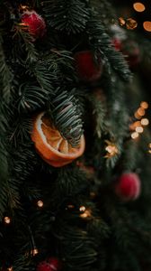 Превью обои елка, украшения, гирлянды, праздник, новый год, рождество