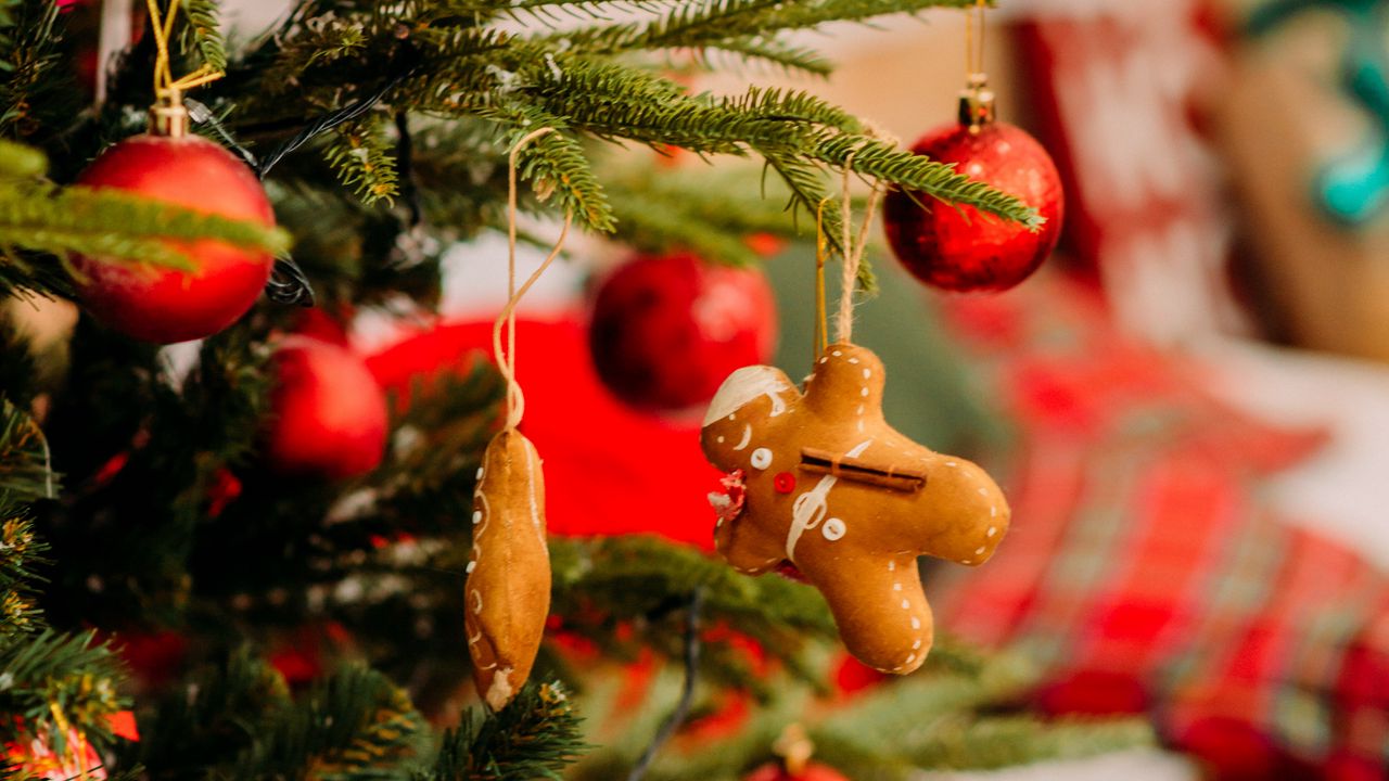 Обои елка, украшения, рождество, новый год, праздники