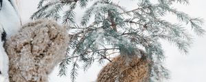Превью обои елка, ветка, снег, руки, рукавицы