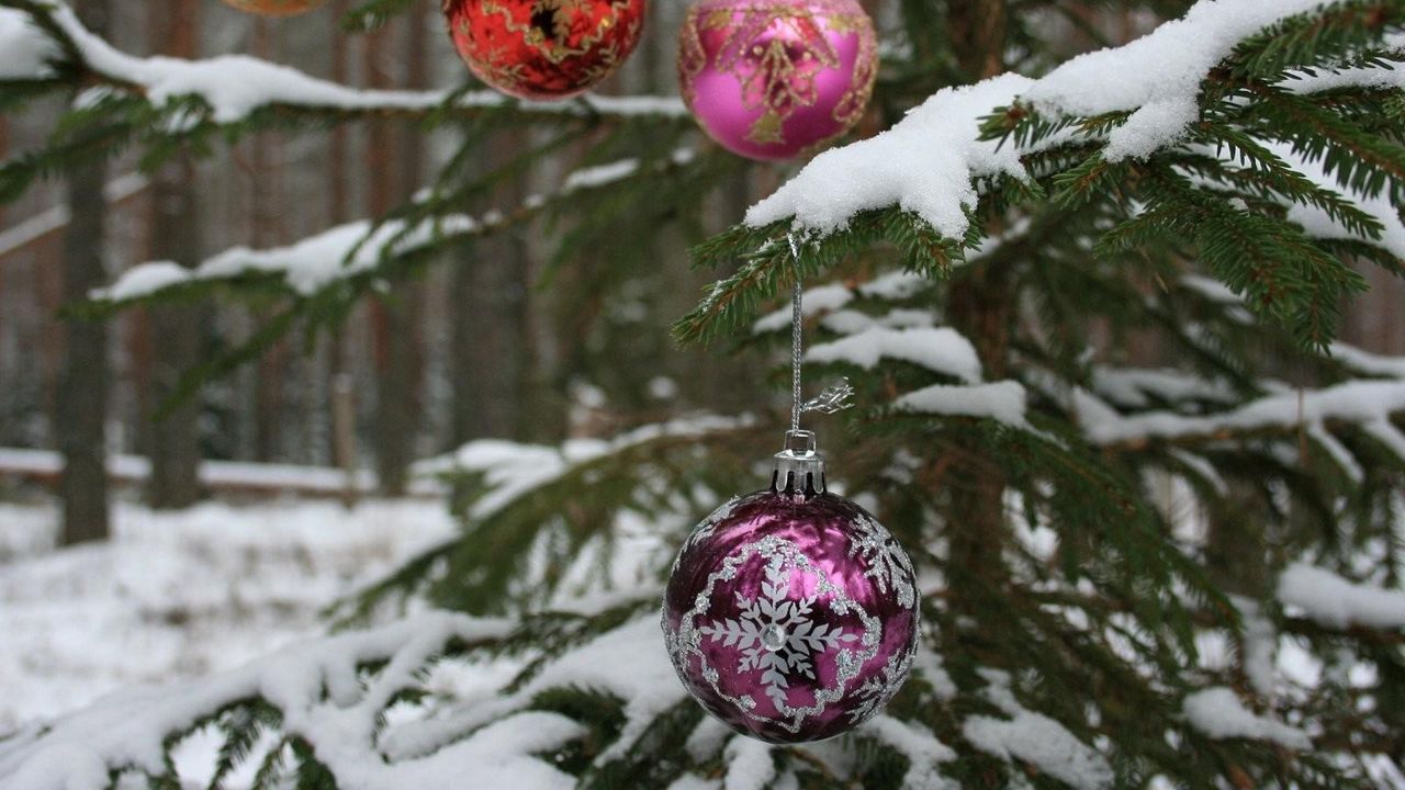 Обои елка, ветка, снег, шары, лес, праздник, новый год