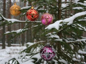 Превью обои елка, ветка, снег, шары, лес, праздник, новый год