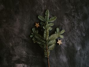 Превью обои елка, ветка, звезды, украшения, новый год