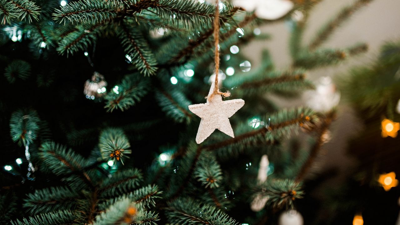 Обои елка, звезда, украшение, новый год, рождество