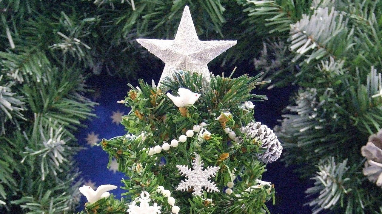 Обои елка, звезда, украшения, праздник, настроение, новый год