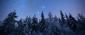 Превью обои елки, деревья, снег, зима, звезды, ночь, природа