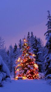 Превью обои елки, гирлянда, снег, парк, вечер, новый год