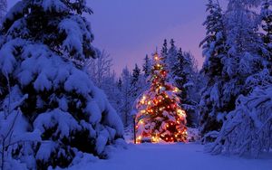 Превью обои елки, гирлянда, снег, парк, вечер, новый год