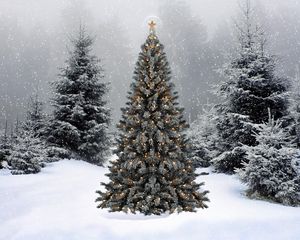 Превью обои елки, гирлянды, звезда, снег, зима, лес, новый год, рождество