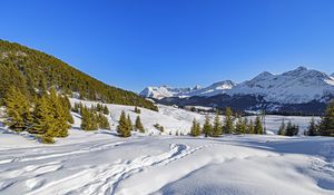 Превью обои елки, горы, снег, зима, пейзаж, природа