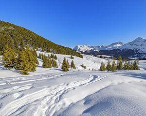 Превью обои елки, горы, снег, зима, пейзаж, природа