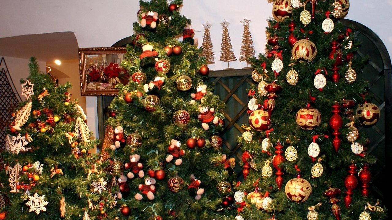 Обои елки, три, украшения, рождество, новый год, праздник