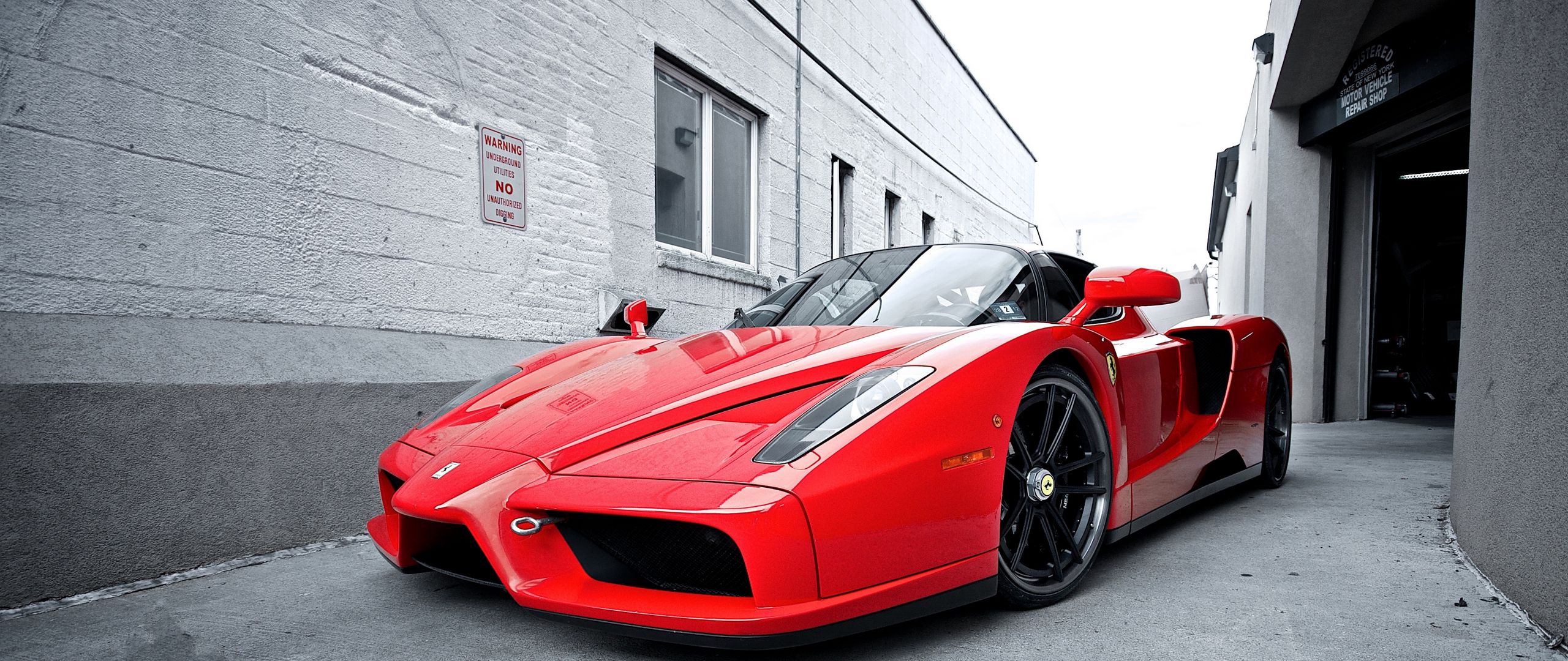 Ferrari Enzo Wallpaper