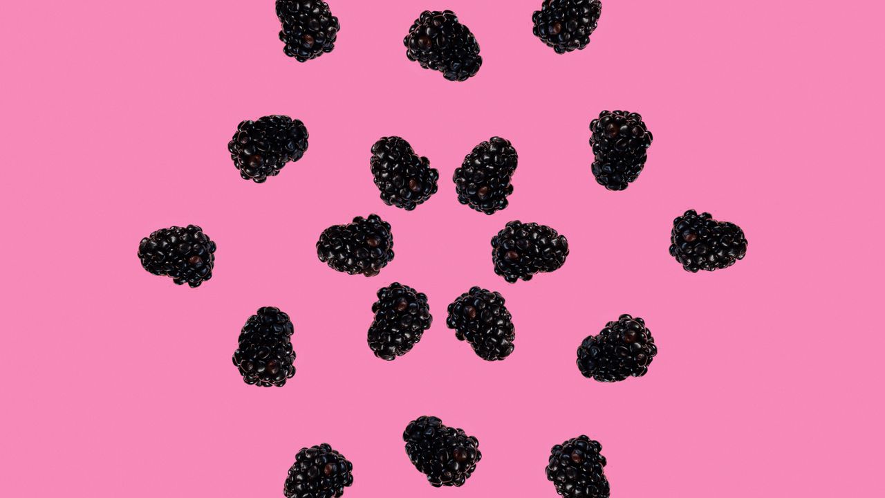 Обои ежевика, ягоды, черный, розовый, минимализм