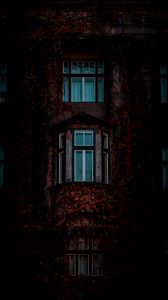 Превью обои фасад, окна, здание, листья, темный