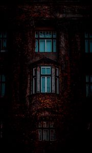 Превью обои фасад, окна, здание, листья, темный