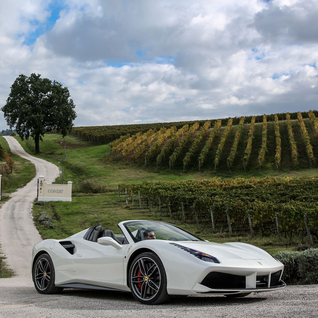 Феррари 458 Spider белый спортивный