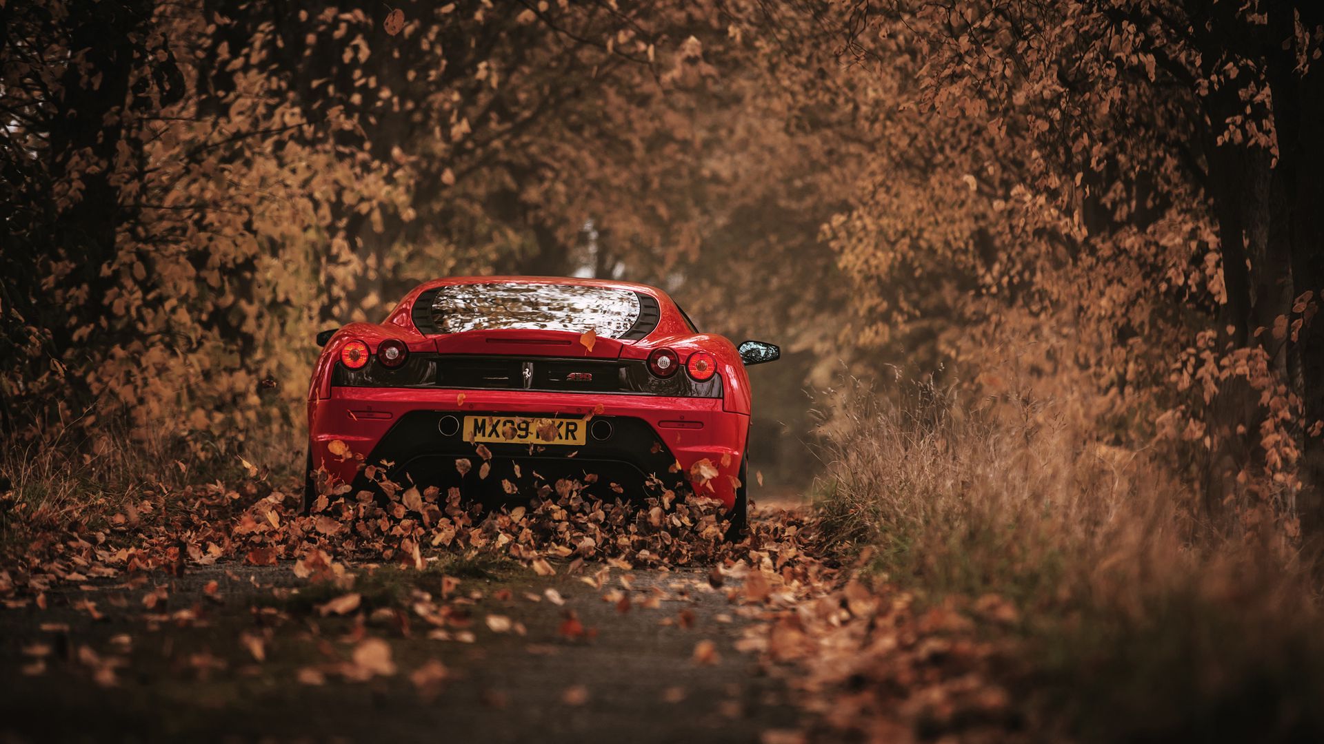 Ferrari 458 осень