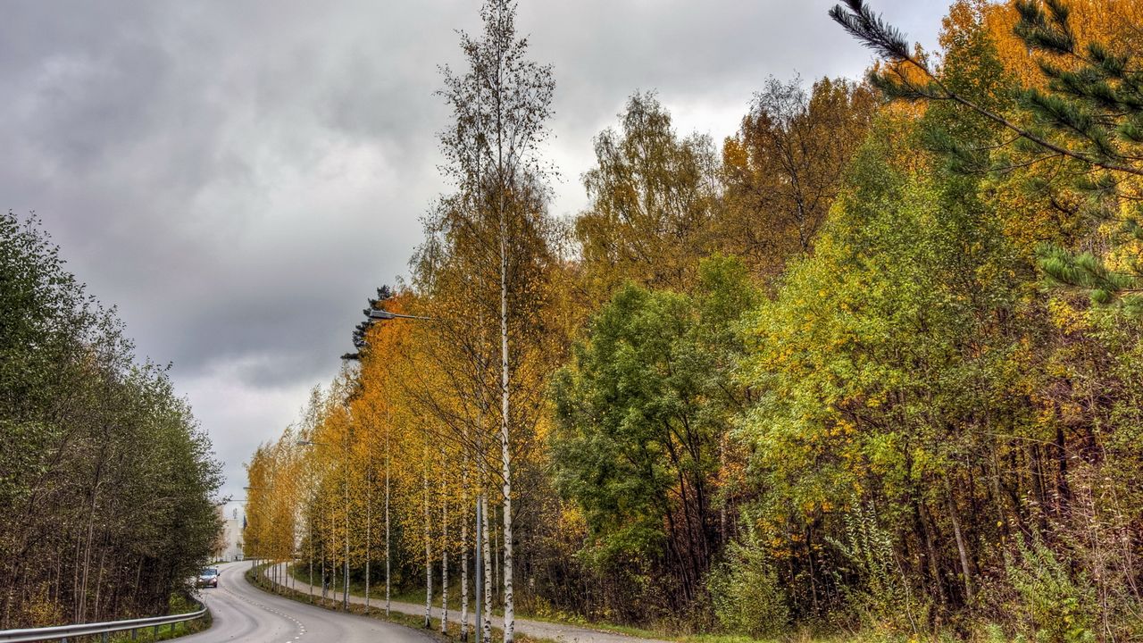 Обои финляндия, дорога, лес, асфальт, деревья, осень, пасмурно, авто