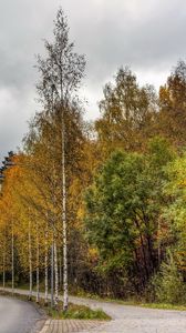 Превью обои финляндия, дорога, лес, асфальт, деревья, осень, пасмурно, авто