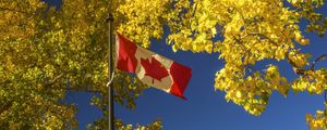 Превью обои флаг, деревья, листья, канада
