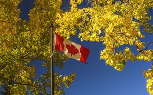 Превью обои флаг, деревья, листья, канада