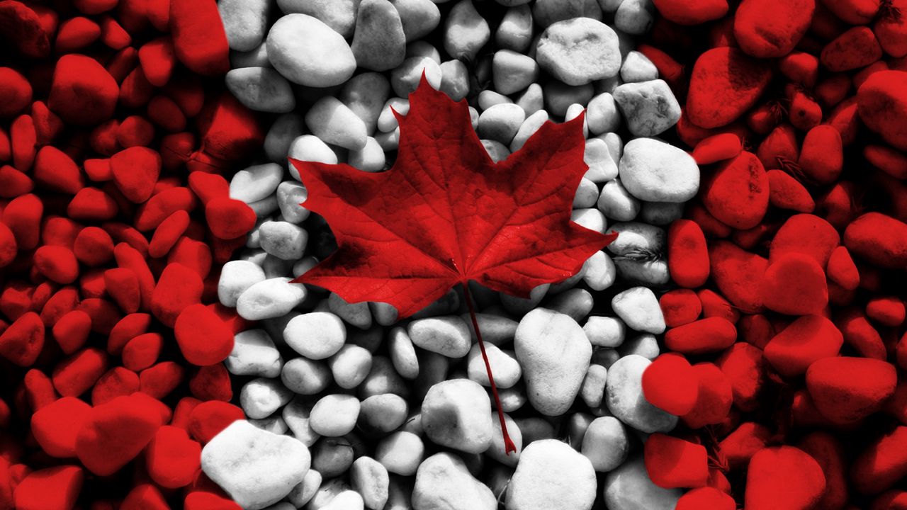Обои флаг, канада, лист, камни