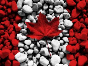 Превью обои флаг, канада, лист, камни