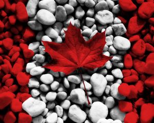 Превью обои флаг, канада, лист, камни