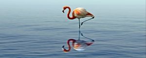 Превью обои фламинго, отражение, озеро, вода, птица, стоит