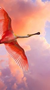 Превью обои фламинго, полет, птица, небо, облака