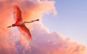 Превью обои фламинго, полет, птица, небо, облака