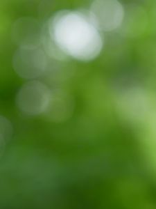 Превью обои фон, зеленый, боке, абстракция