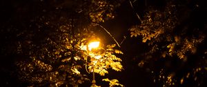 Превью обои фонарь, деревья, ночь