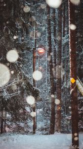 Превью обои фонарь, деревья, снег, зима