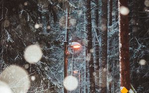 Превью обои фонарь, деревья, снег, зима