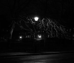 Превью обои фонарь, ночь, дерево, чб