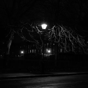 Превью обои фонарь, ночь, дерево, чб