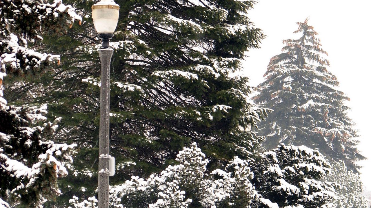 Обои фонарь, парк, деревья, зима