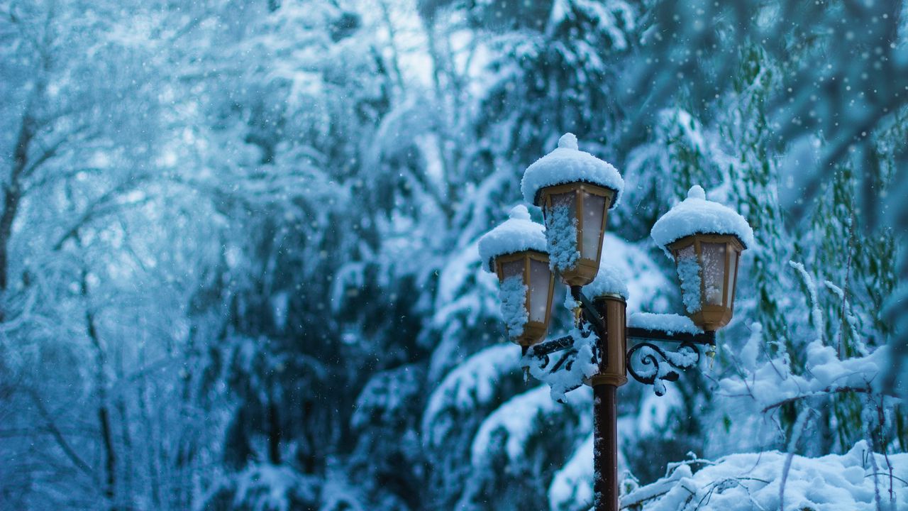 Обои фонарь, столб, снег, зима