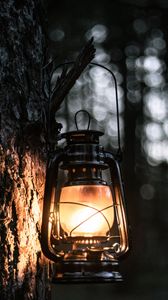 Превью обои фонарь, свет, дерево, кора, вечер