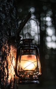 Превью обои фонарь, свет, дерево, кора, вечер