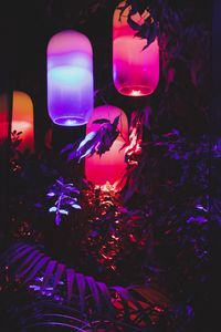 Превью обои фонарики, свет, листья, фиолетовый, темный