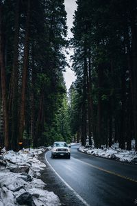 Превью обои ford expedition xlt, ford, автомобиль, дорога, деревья