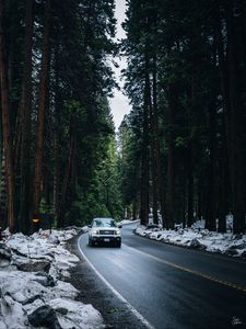 Превью обои ford expedition xlt, ford, автомобиль, дорога, деревья