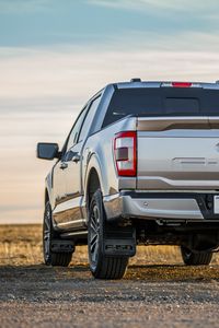 Превью обои ford f150, ford, автомобиль, внедорожник, вид сзади