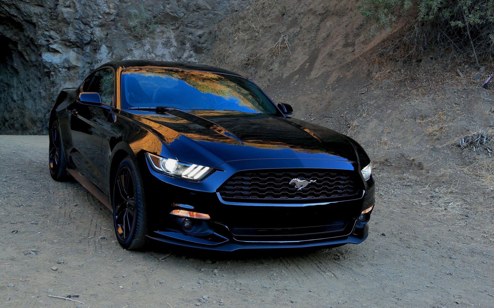 Ford Mustang 2015 спереди